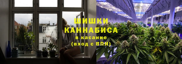 шишки Сосновоборск